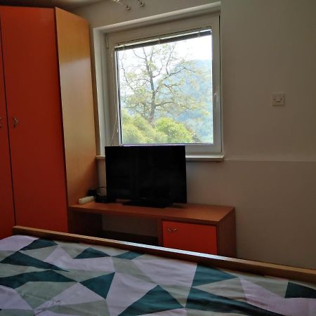 Apartment Zadraga Tolmin Zewnętrze zdjęcie