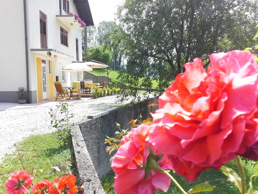 Apartment Zadraga Tolmin Zewnętrze zdjęcie